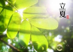 立夏和夏至有什么区别?立夏和夏至的区别 立夏和夏至有什么区别?立夏和夏至的区别