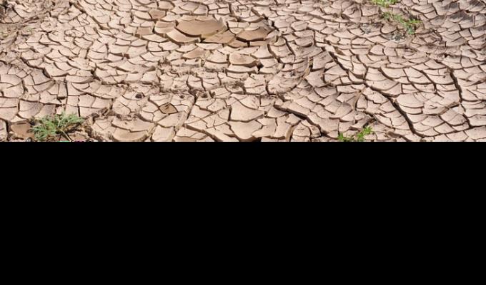 fabcccb3a48ada9f84ab8bd149f4f38c.png 未命名.png