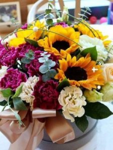 ​软软的什么(软软的什么?)