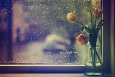 ​美德少年事迹材料1500字，美德少年推荐稿