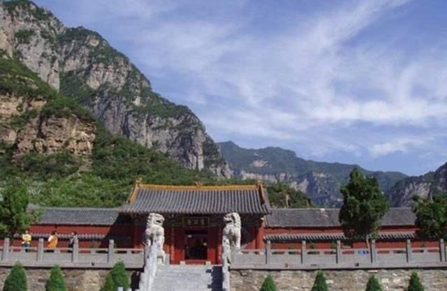 河南这座“猴山”拥有3000只野生猴子，真有一位“齐天大圣”