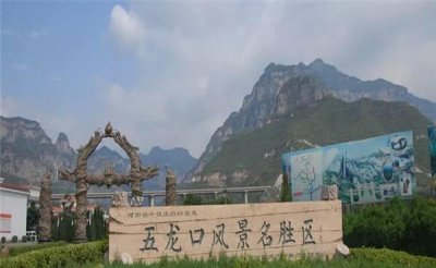 ​河南这座“猴山”拥有3000只野生猴子，真有一位“齐天大圣”