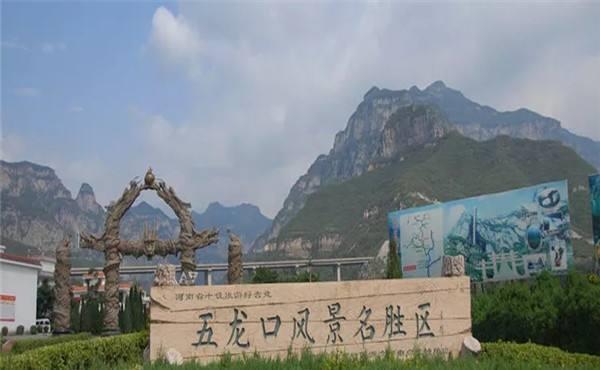 河南这座“猴山”拥有3000只野生猴子，真有一位“齐天大圣”