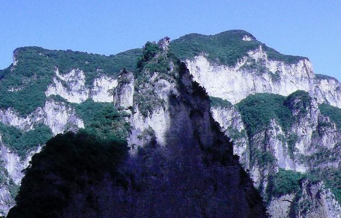 河南这座“猴山”拥有3000只野生猴子，真有一位“齐天大圣”