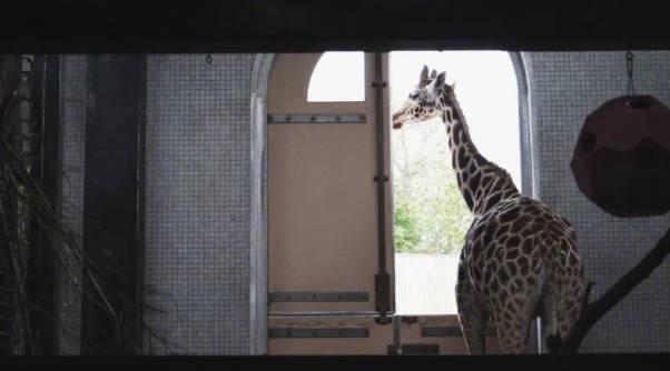 网络配图 网络配图