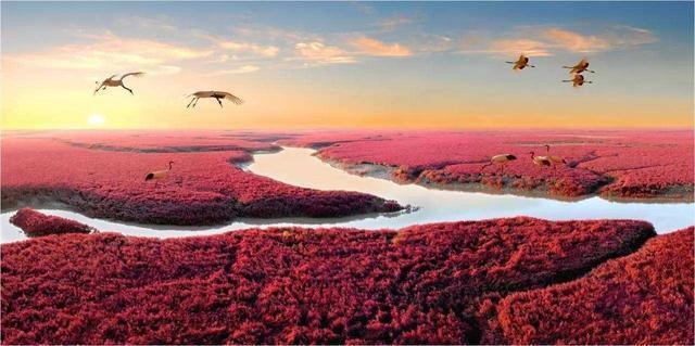 世界上最神奇的“红色海滩”，全世界仅此一处，就在我们中国！