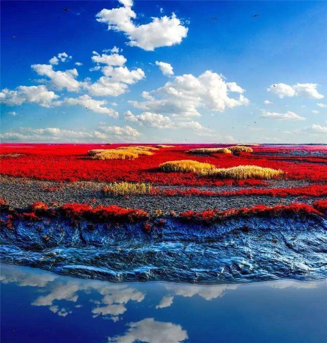 世界上最神奇的“红色海滩”，全世界仅此一处，就在我们中国！