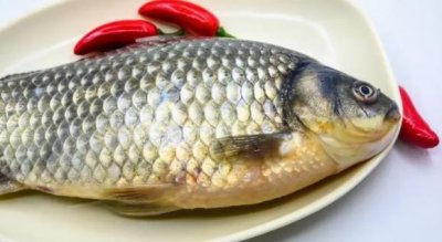 ​十大补脑的食物排名（哪些食物补脑效果好）