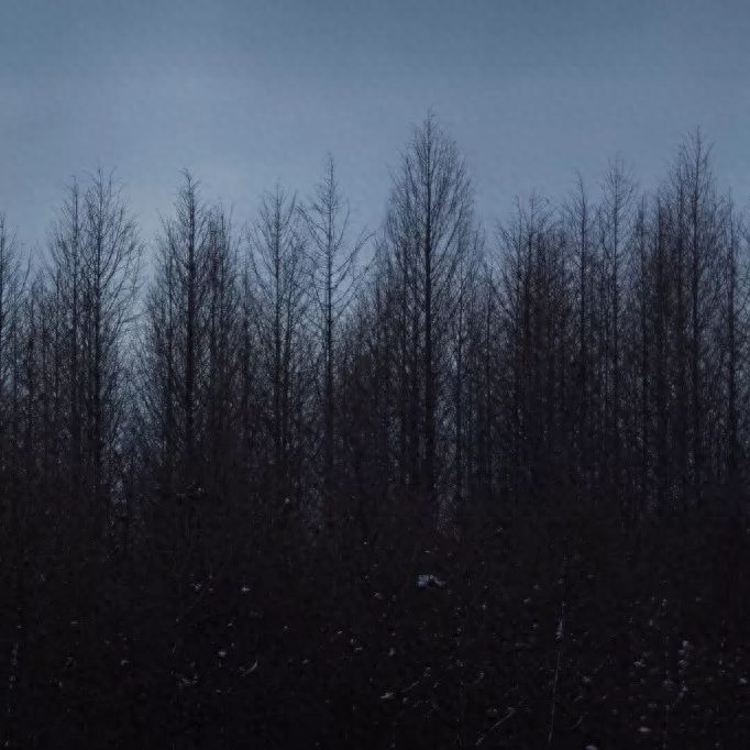 朋友圈背景图丨孤独的黑暗中，你是我唯一的光.