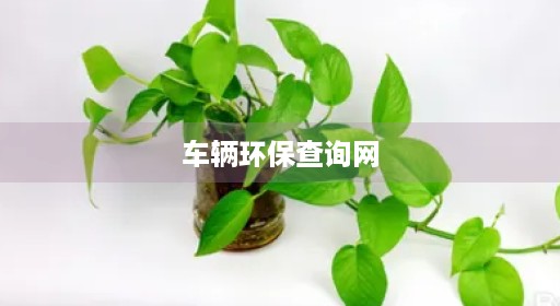 车辆环保查询网