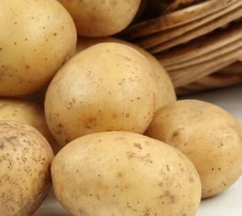 为什么马铃薯在空气中会发霉