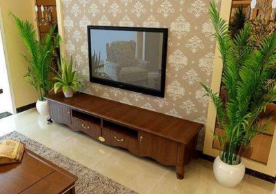 ​家中财位适合摆放什么植物或者物品