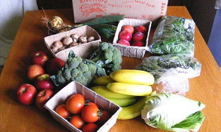 有机食品是什么意思,有机食品中的有机是什么意思图2