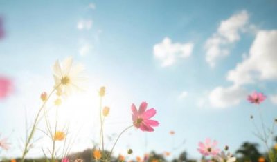 ​送老婆什么项链有档次如何选择一款符合老婆气质的项链