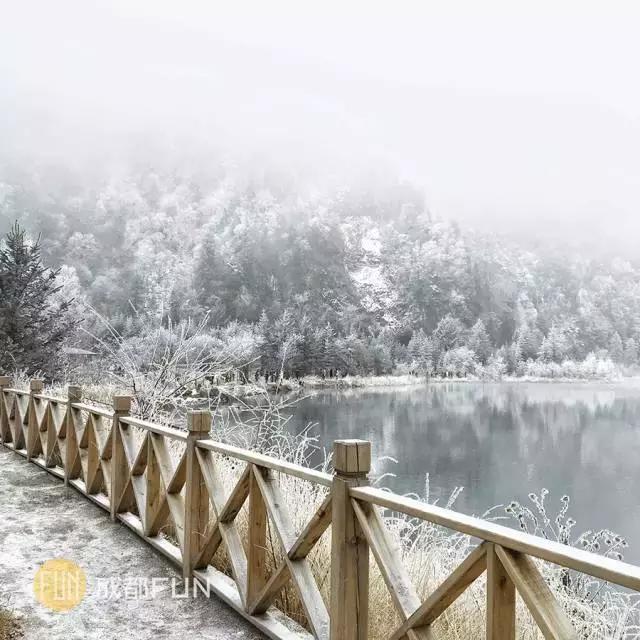 四川旅游十大最美景点(四川最美的13个地方)(13)