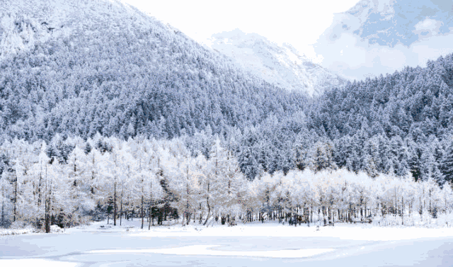 四川旅游十大最美景点(四川最美的13个地方)(3)