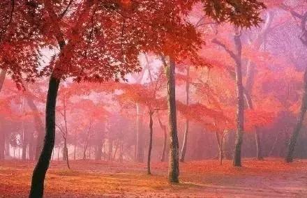 四川旅游十大最美景点(四川最美的13个地方)(14)