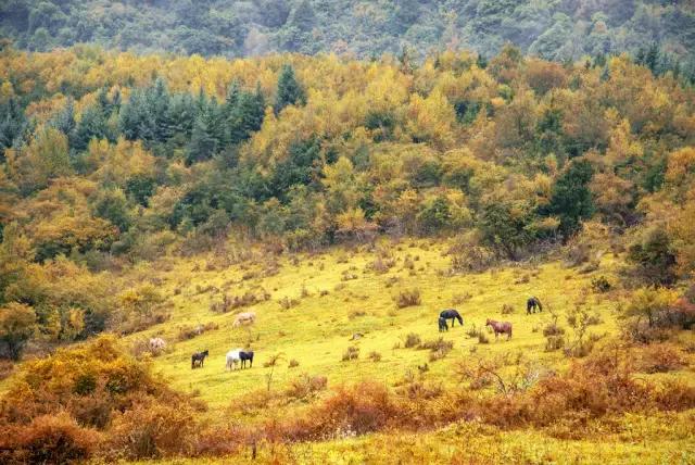 四川旅游十大最美景点(四川最美的13个地方)(9)