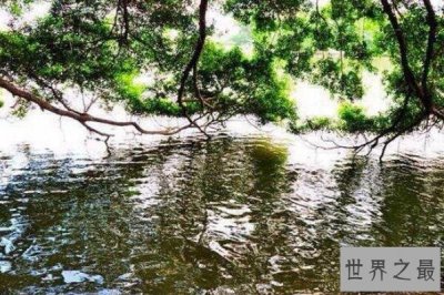 ​中国境内十大最邪门的地方排行榜 哑蛙湖上榜，第九非常离奇