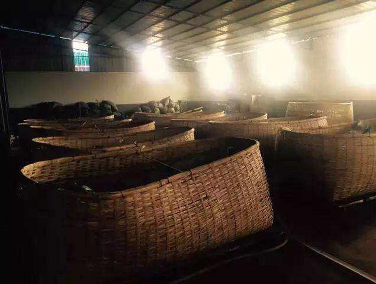 普洱黑茶与红茶的区别(普洱茶是红茶还是黑茶)