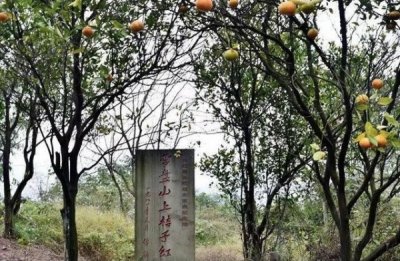 ​川将军功勋酒价格，成都川将军味业有限公司