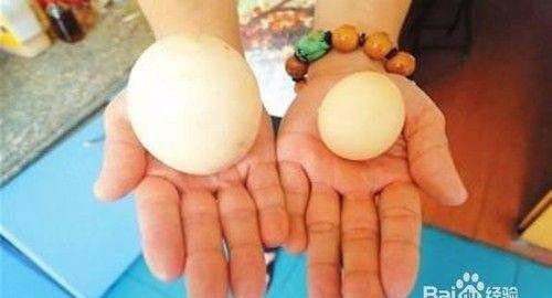 怎样看鸡蛋是否受过精,如何分辨鸡蛋是不是受过精的详细点图2