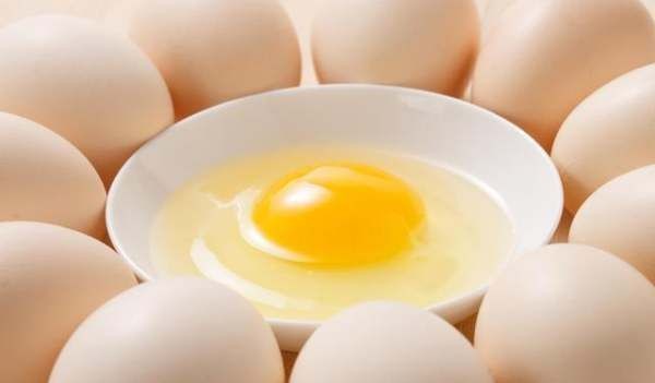 怎样看鸡蛋是否受过精,如何分辨鸡蛋是不是受过精的详细点图11