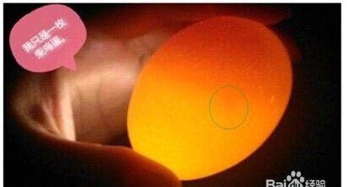 怎样看鸡蛋是否受过精,如何分辨鸡蛋是不是受过精的详细点图7