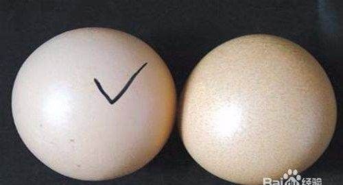怎样看鸡蛋是否受过精,如何分辨鸡蛋是不是受过精的详细点图3