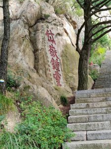​泰山旅游攻略（泰山旅行攻略）