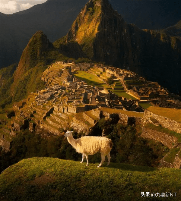 美洲三大文明是哪三大(美洲三大文明的特点)