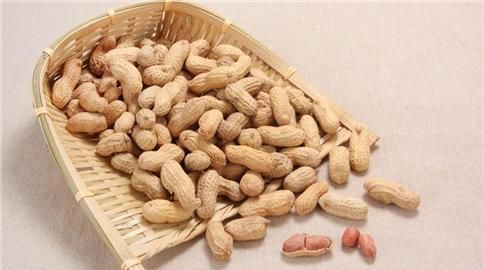 花生有什么作用