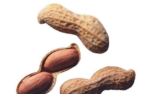 花生的功效与作用及食用方法