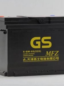 ​gs电池(gs电池和骆驼电池哪个好)