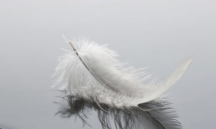 人固有一死或重于泰山或轻于鸿毛为什么有的人的死重于泰山有的人的死轻如鸿毛