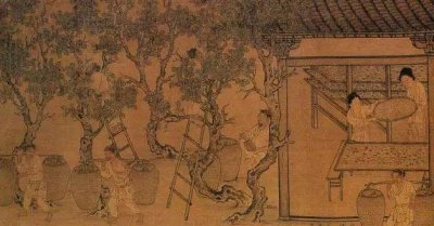 ​食用醋的做法大全家常（调味品醋的各种小妙用）