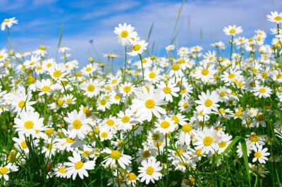 ​站在道德制高点指责别人是最大的恶吗（道德制高点什么意思）