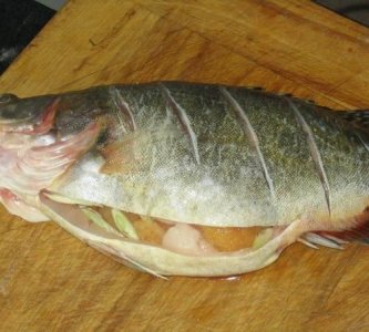 ​鱼是怎么分辨味道的,鱼是用什么辨别味道的呢