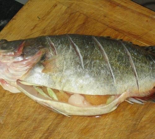 鱼是用什么辨别味道的呢