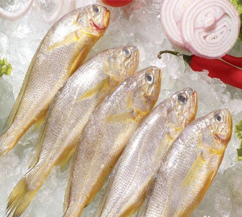 鱼在水中是靠什么寻找食物的,视觉还是味觉的