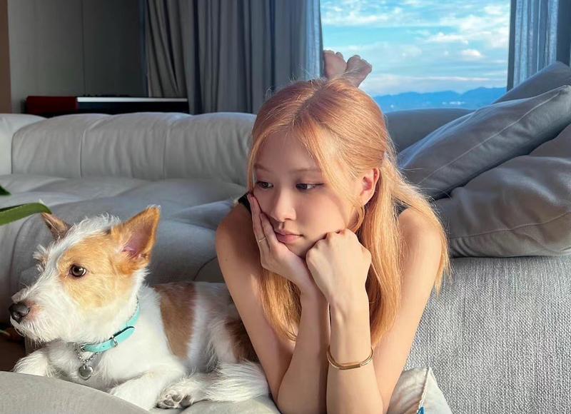  殷世航前女友何婧婧宣布跟新腾分手