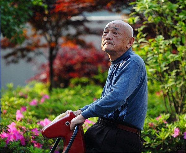 中国人的平均寿命是多少(中国男女平均寿命)