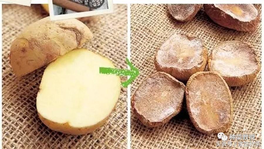 怎么种土豆(土豆的详细种植步骤及注意事项)