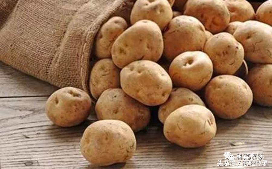 怎么种土豆(土豆的详细种植步骤及注意事项)