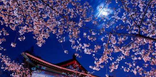 身无彩凤双飞翼的全诗,身无彩凤双飞翼是哪位诗人的诗句面积最大的淡水湖图2