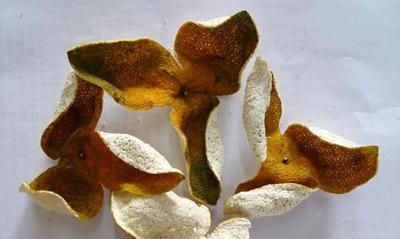 新鲜橘皮能泡水喝吗，看到网上说新鲜橘子的皮不能泡水喝，这种说法有科学依据吗？图2