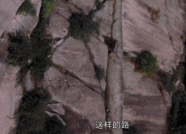 那山那海电视剧今晚在什么台播出（那山那海仅播1集）(6)