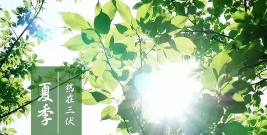 三伏天是什么意思,三伏天什么意思图3