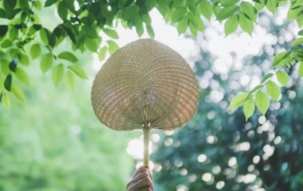 三伏天是什么意思,三伏天什么意思图1