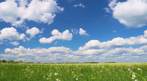 三伏天是什么意思,三伏天什么意思图4